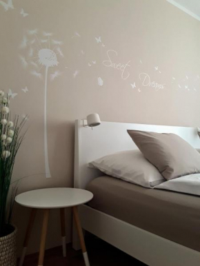 Гостиница Apartment Graz Murpromenade  Грац